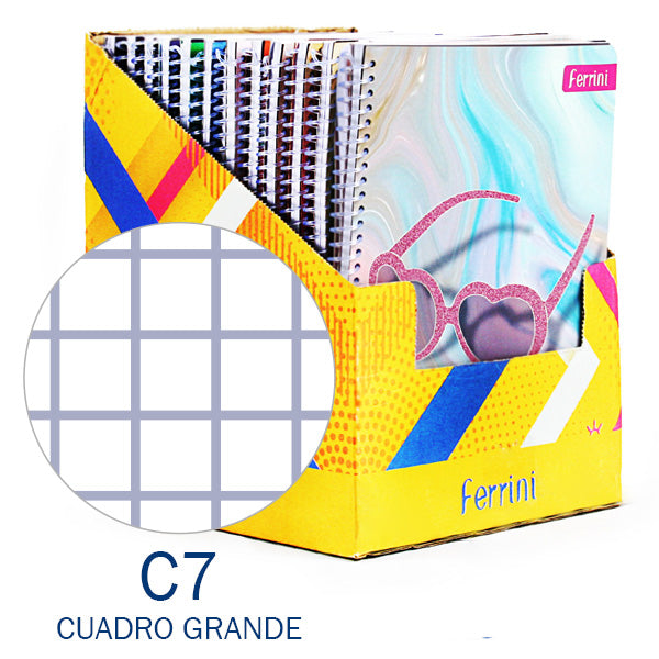 Caja 24 Piezas Espiral Europeo A4 100h