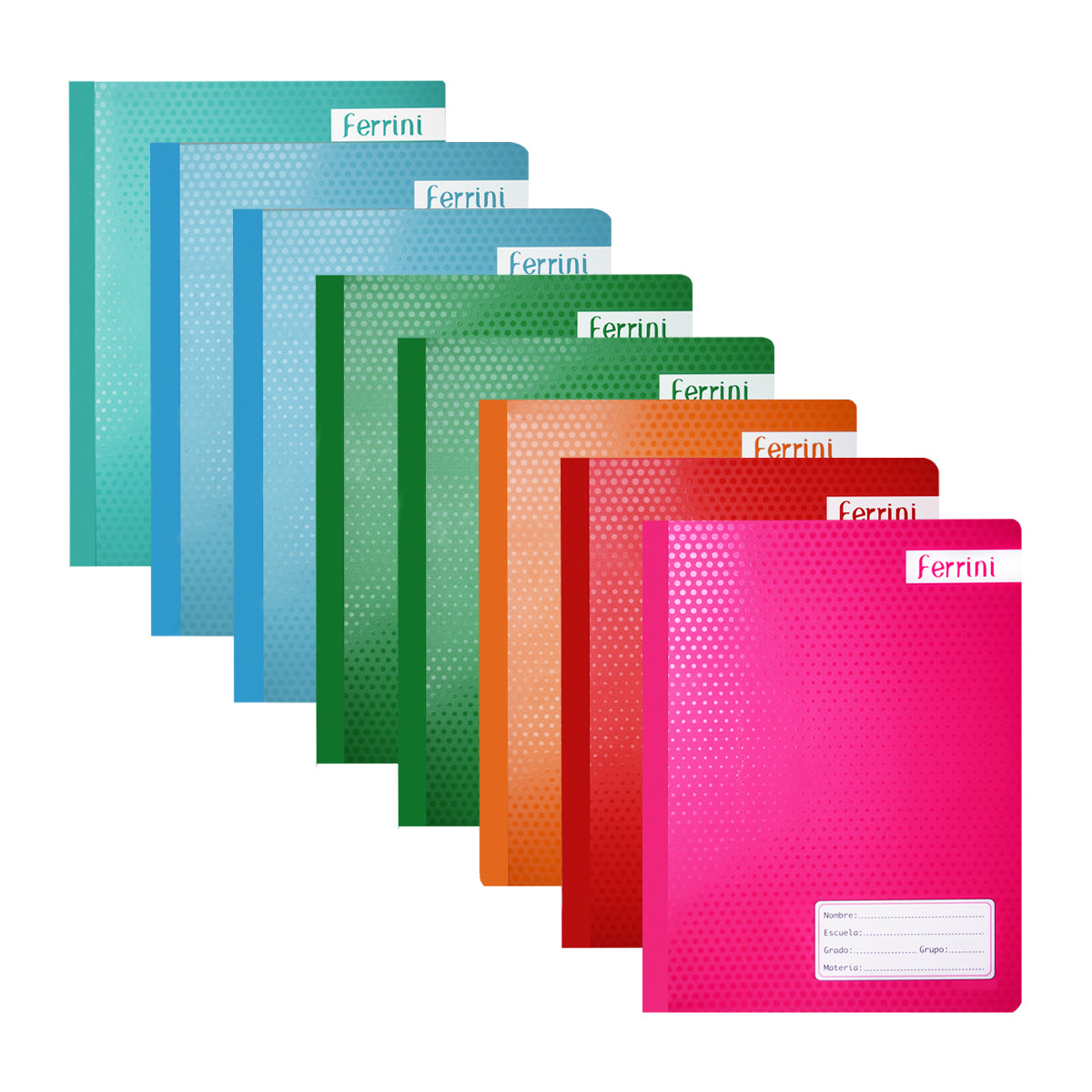 Cuadernos Cosidos Profesional Ferrini 100h 8 Pack Basic RAYA