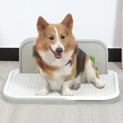 Tapete Entrenador para Mascotas | PetCare 
- Diseño Absorbente y Antideslizante: Ideal para Entrenamiento en Interiores
- Confort y Limpieza: Materiales de Alta Calidad y Fácil de Limpiar
- Disponible en Varios Tamaños y Colores
- Perfecto para Perros y Gatos de Todas las Edades
- El Mejor Tapete Entrenador para Mascotas a un Precio Accesible